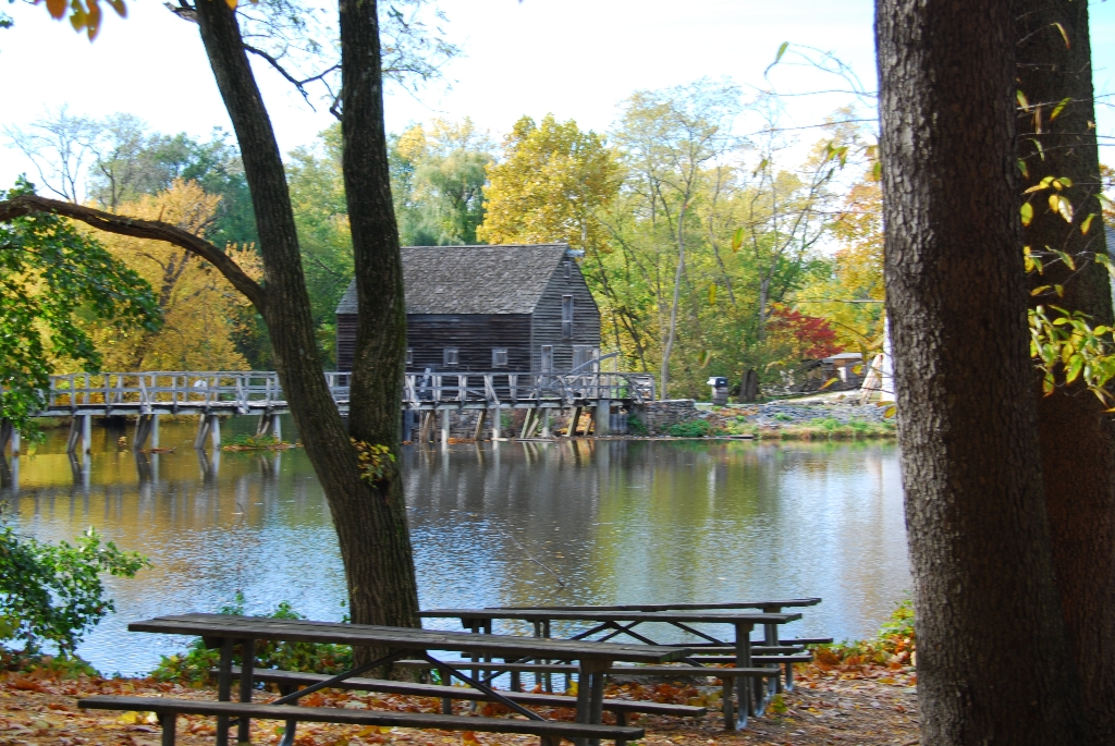DSC_3919.JPG